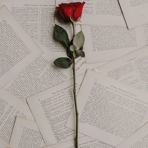 Meet your Posher, Harmony